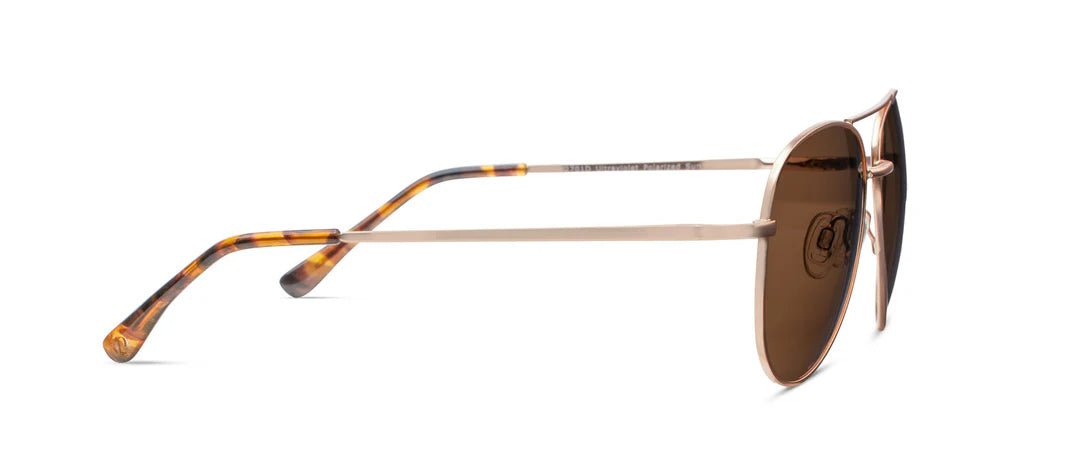 Ultraviolet Sunglasses
