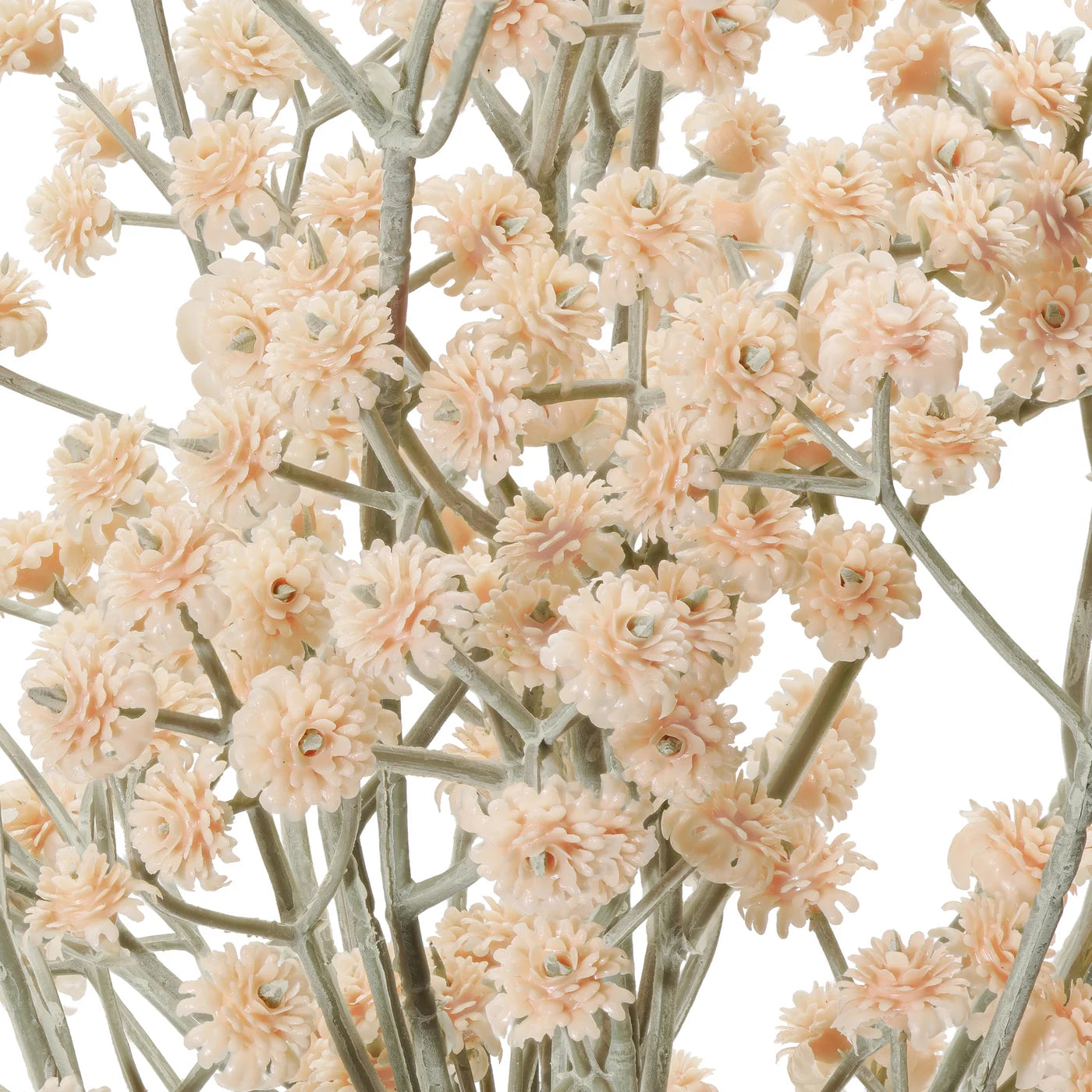 Cream Baby's Breath