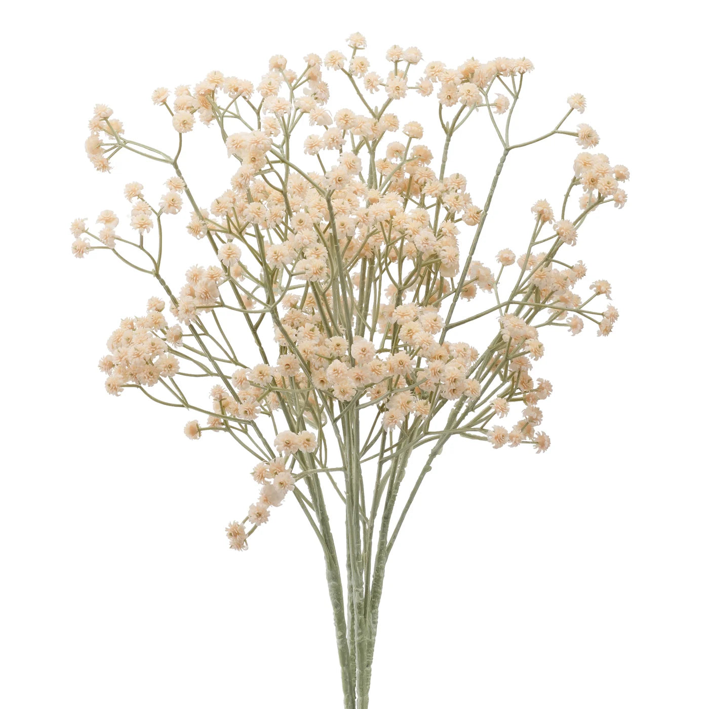 Cream Baby's Breath
