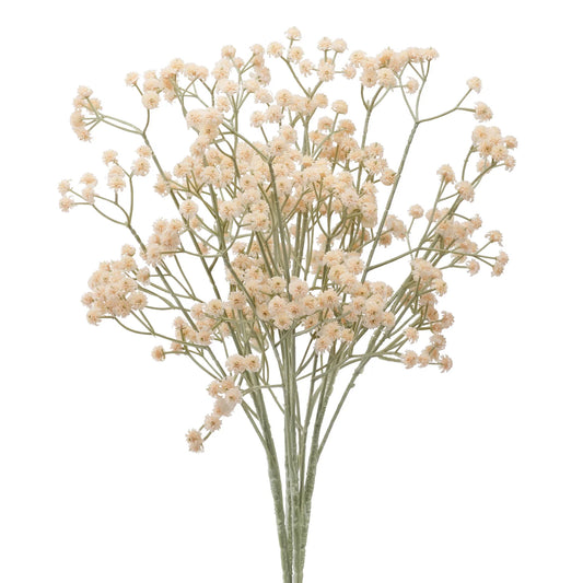 Cream Baby's Breath