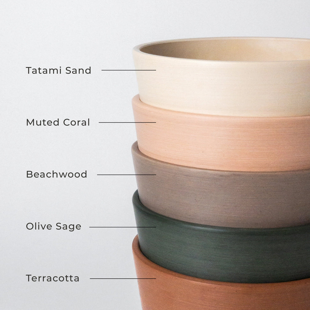 White Tapered Pot w/Saucer