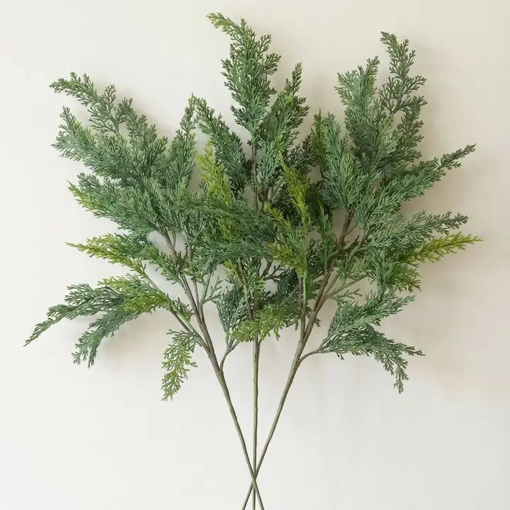 Cypress Stem