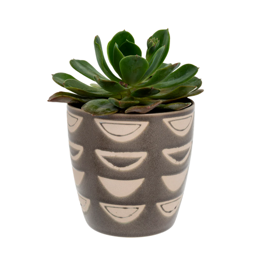Luna Pot