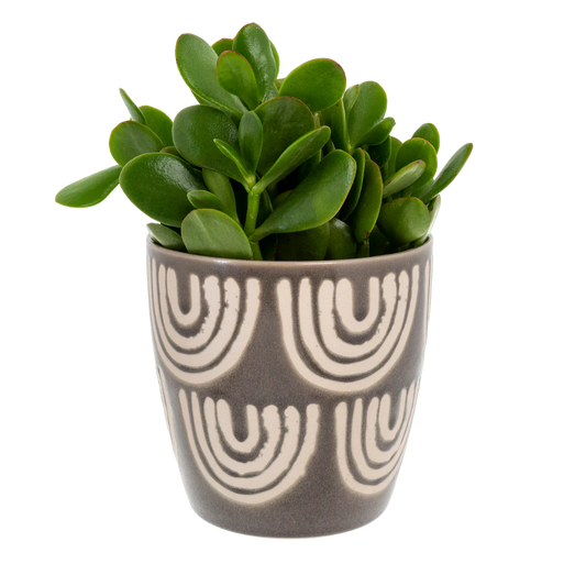 Arches Pot