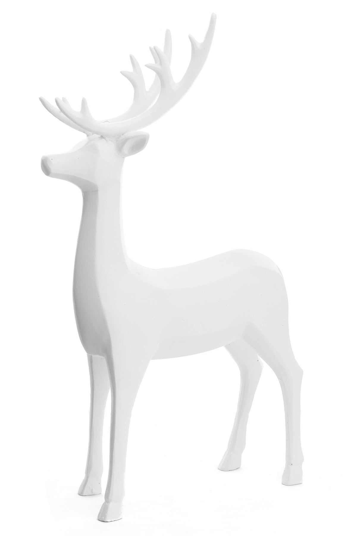 White Glossy Deer