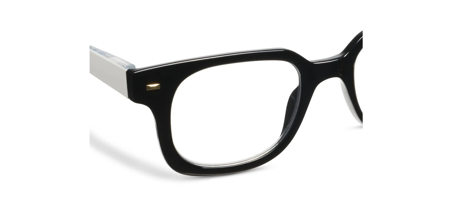 Glossary Glasses