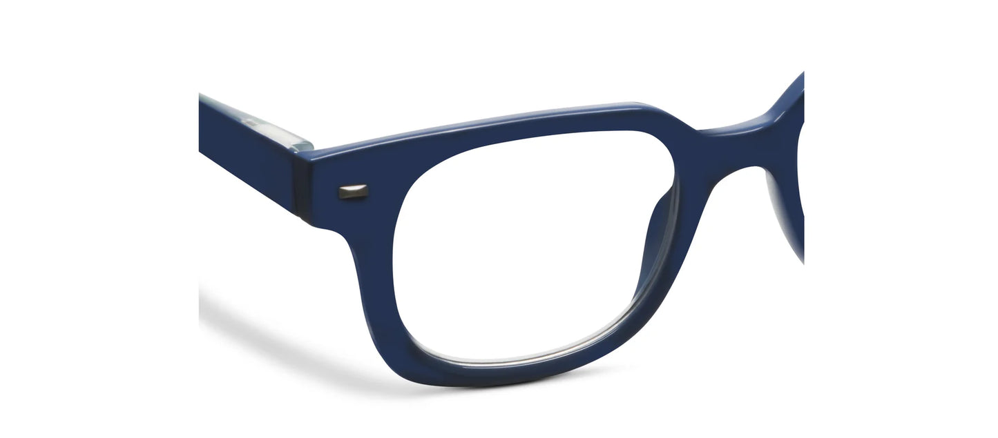 Glossary Glasses