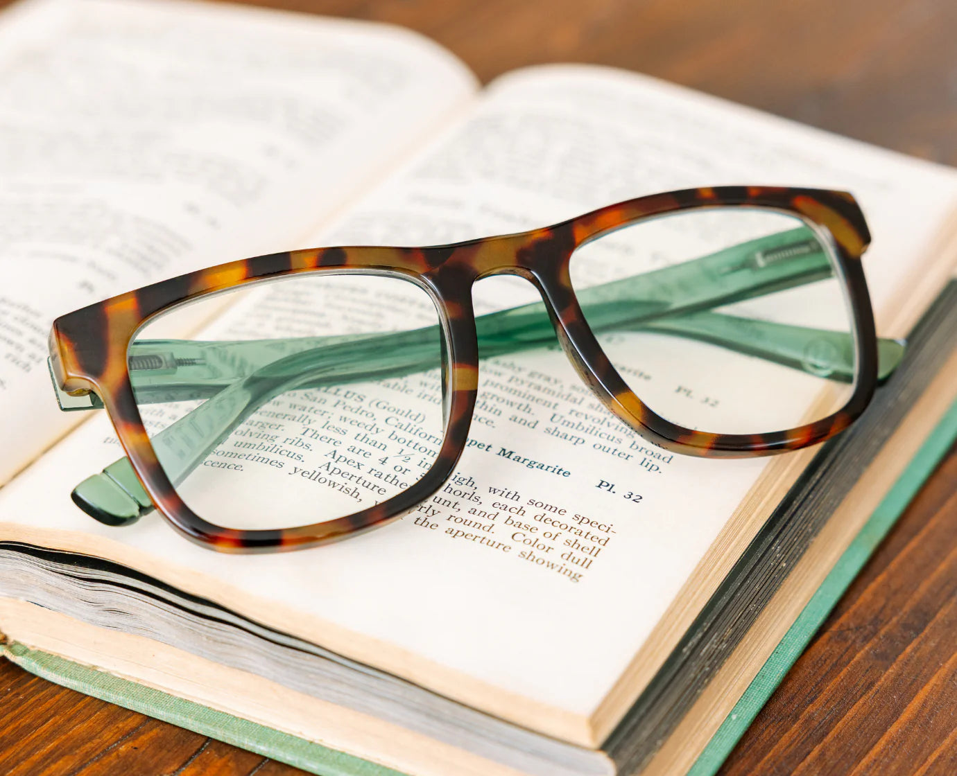 Hall Glasses