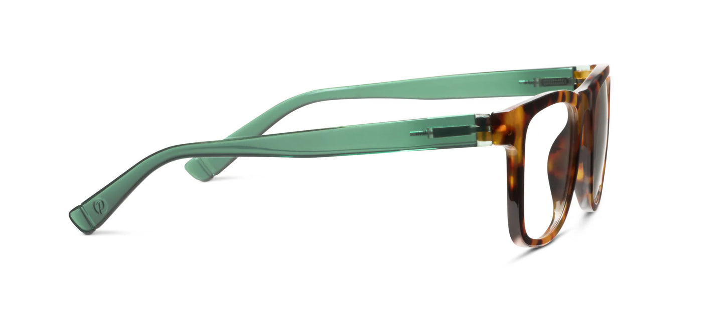 Hall Glasses
