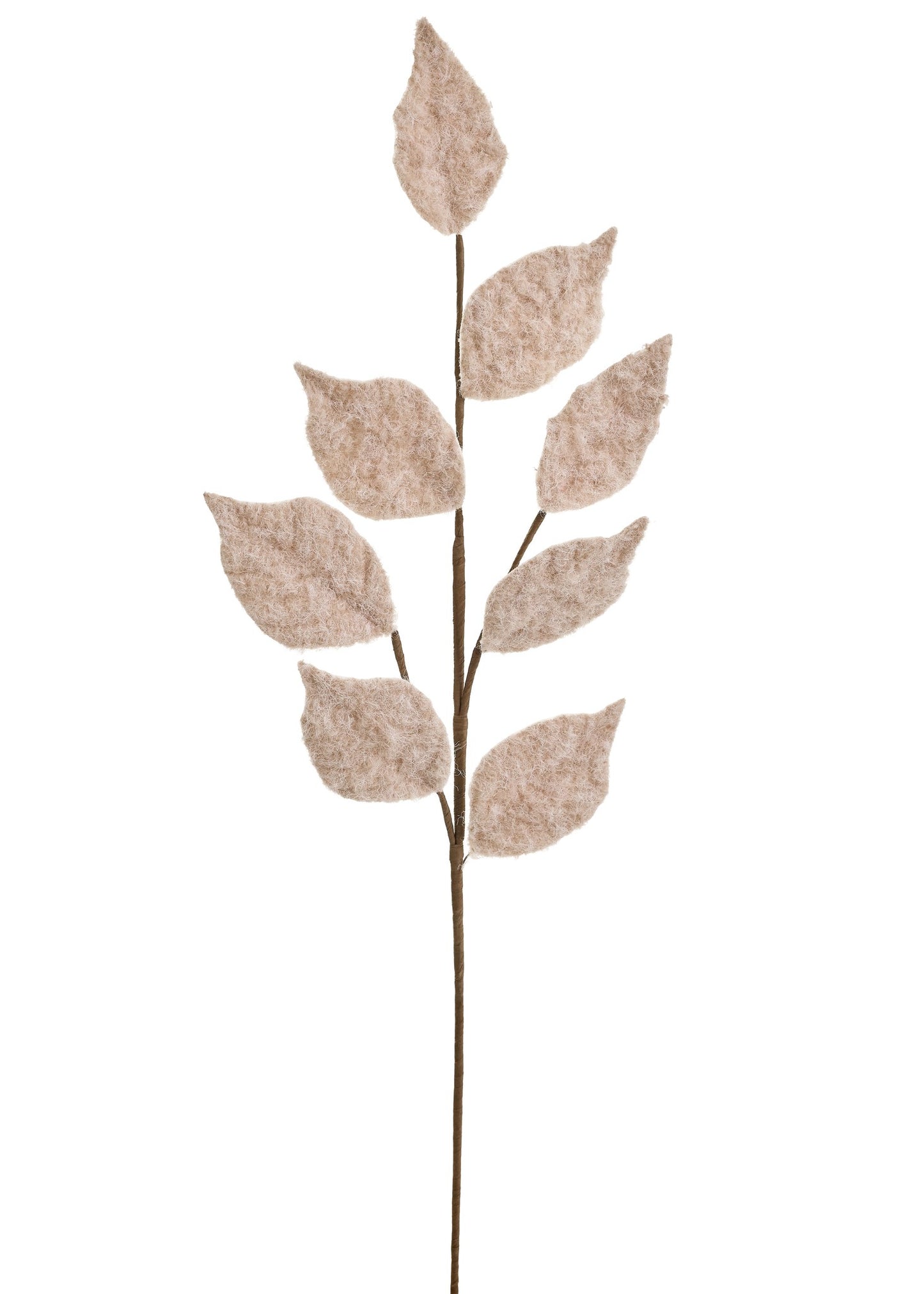 Beige Brushed Leaves