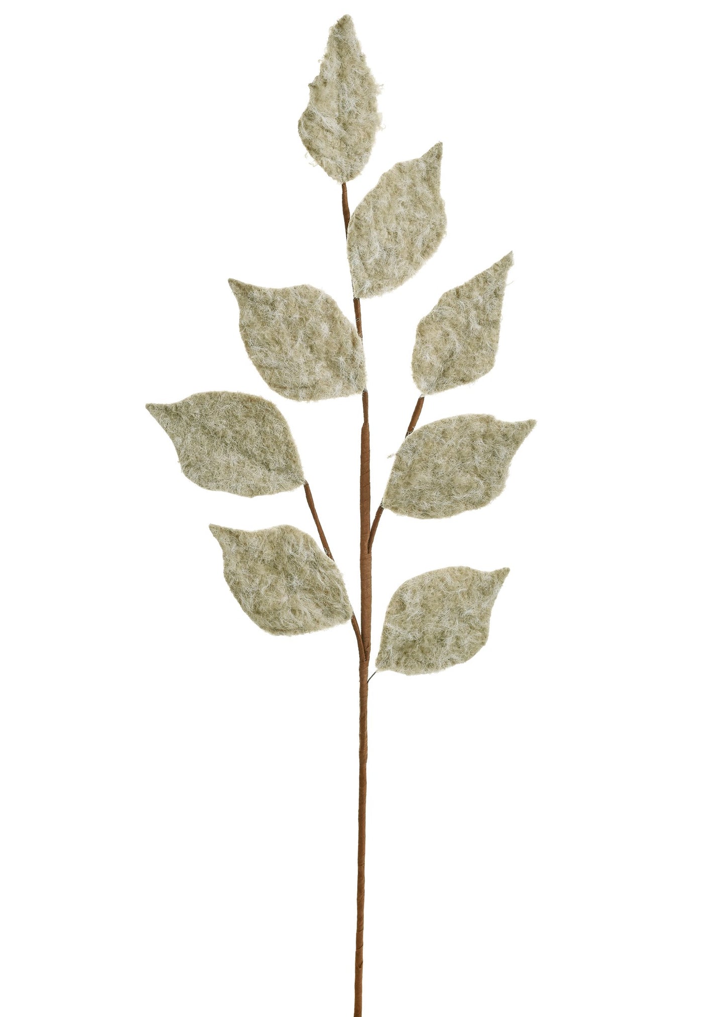 Beige Brushed Leaves