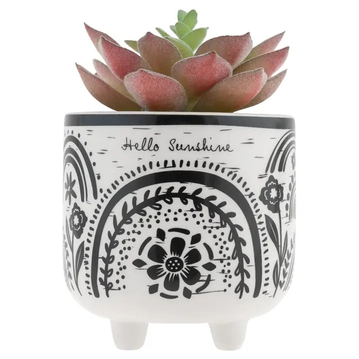 Hello Sunshine Pot w/Plant