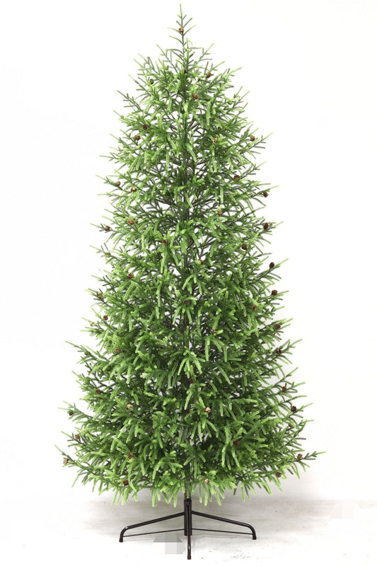 5-natural-norfolk-pine-in-pot
