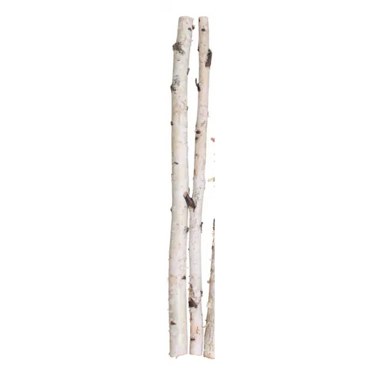 Birch Poles