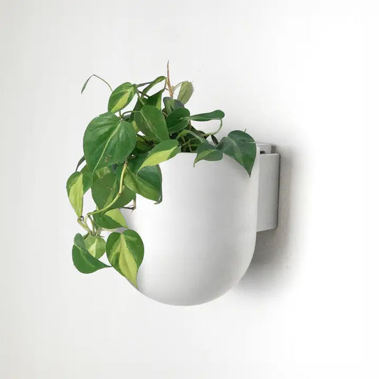 Wall Mounted Pot