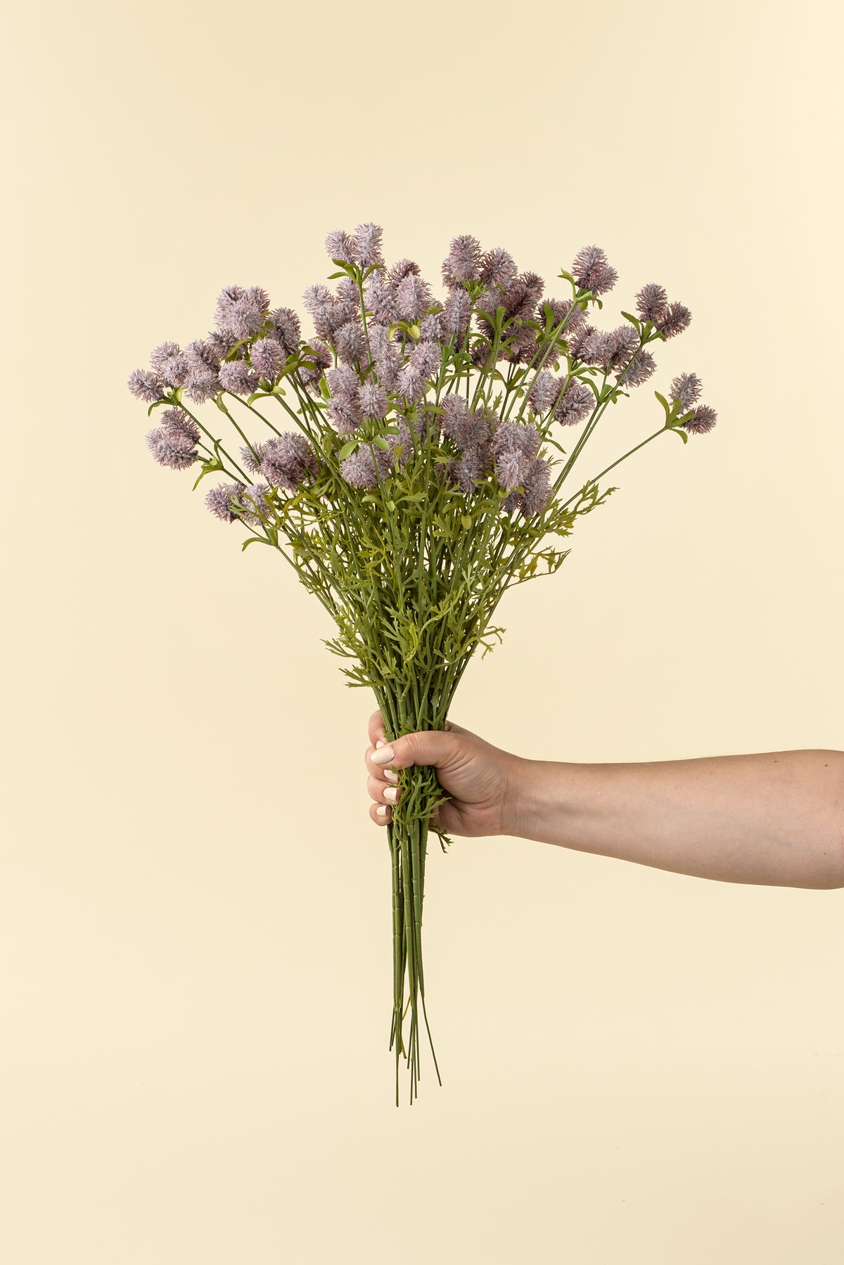 Dandelion Pom Pom Spray