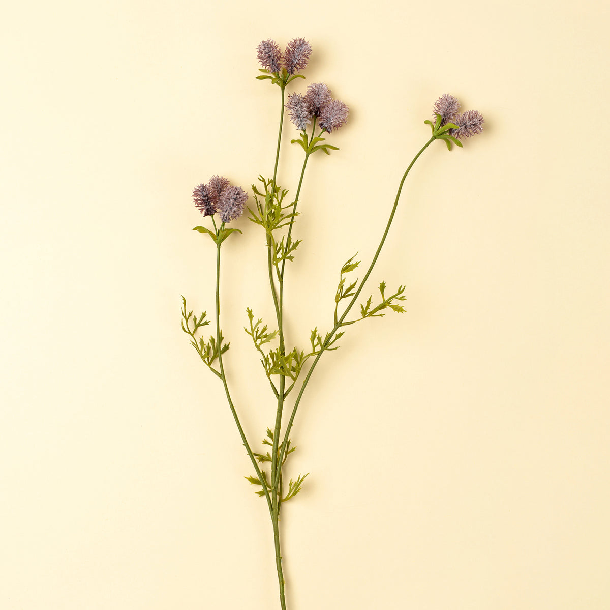 Dandelion Pom Pom Spray