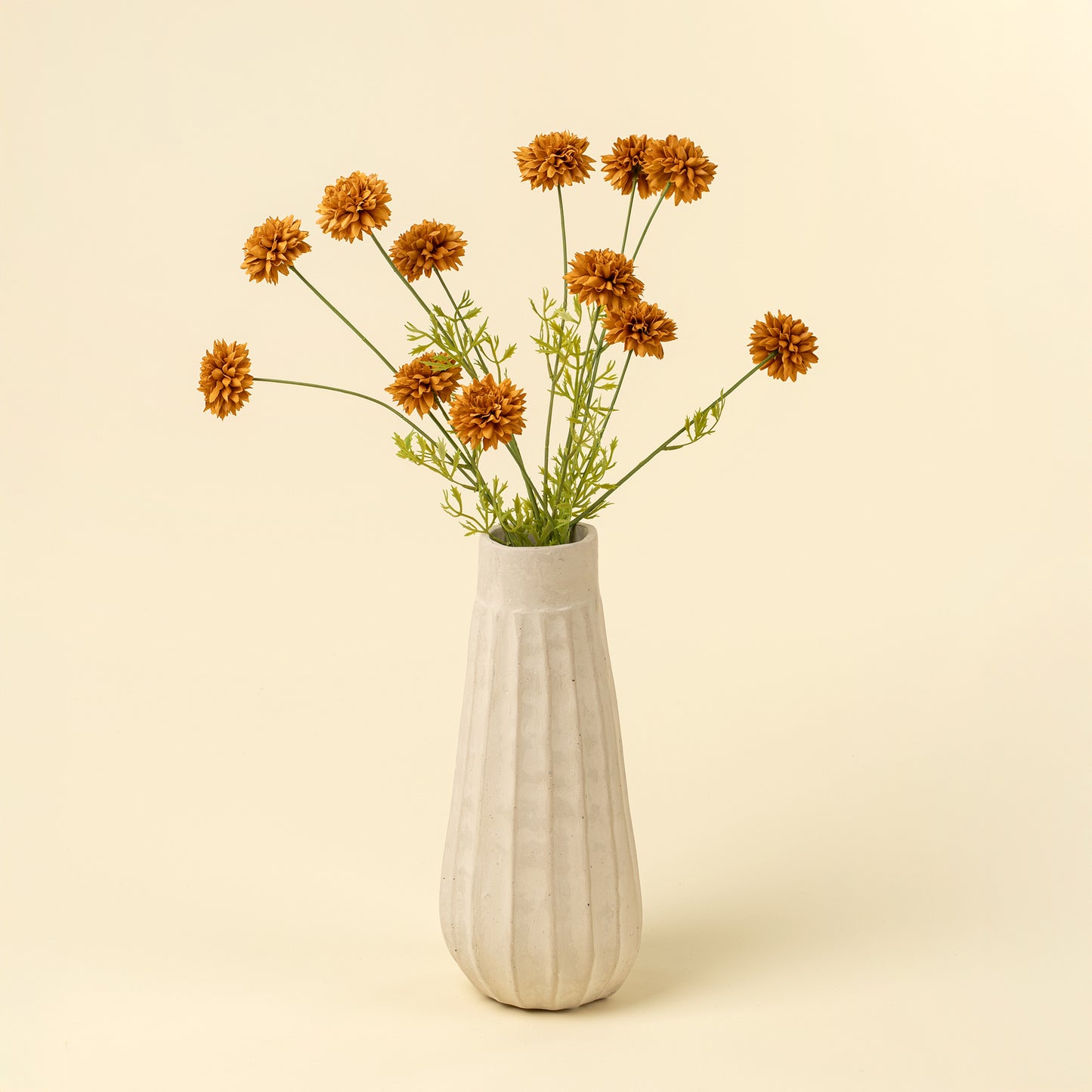 Mini Chrysanthemum