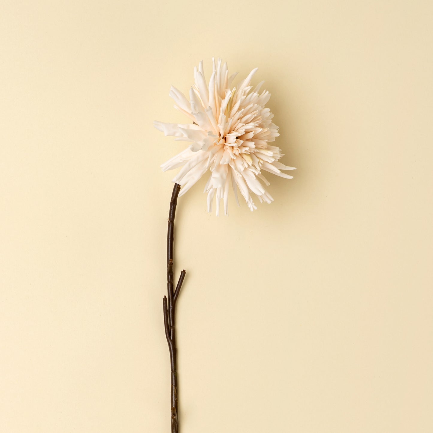 Dahlia Stem