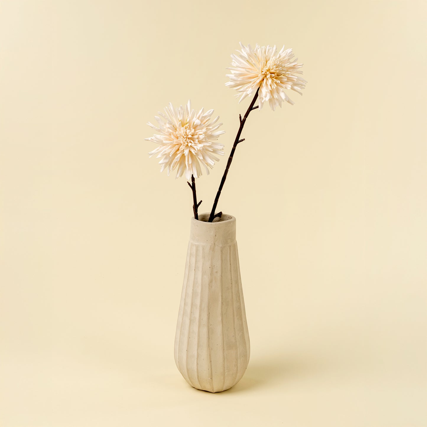 Dahlia Stem