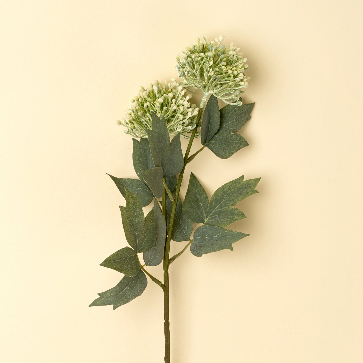 Sedum Spray