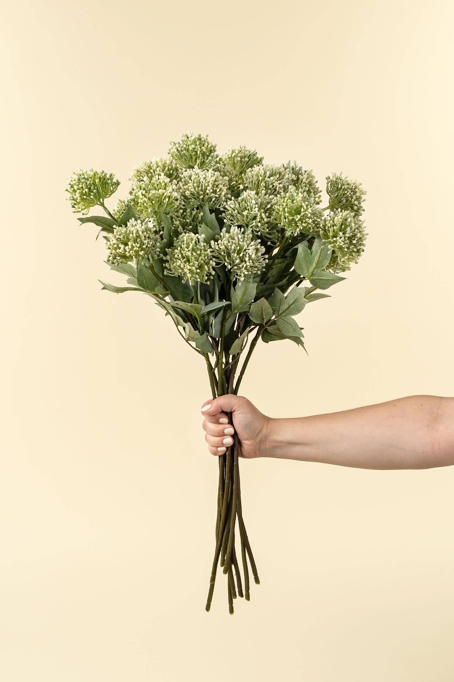 Sedum Spray