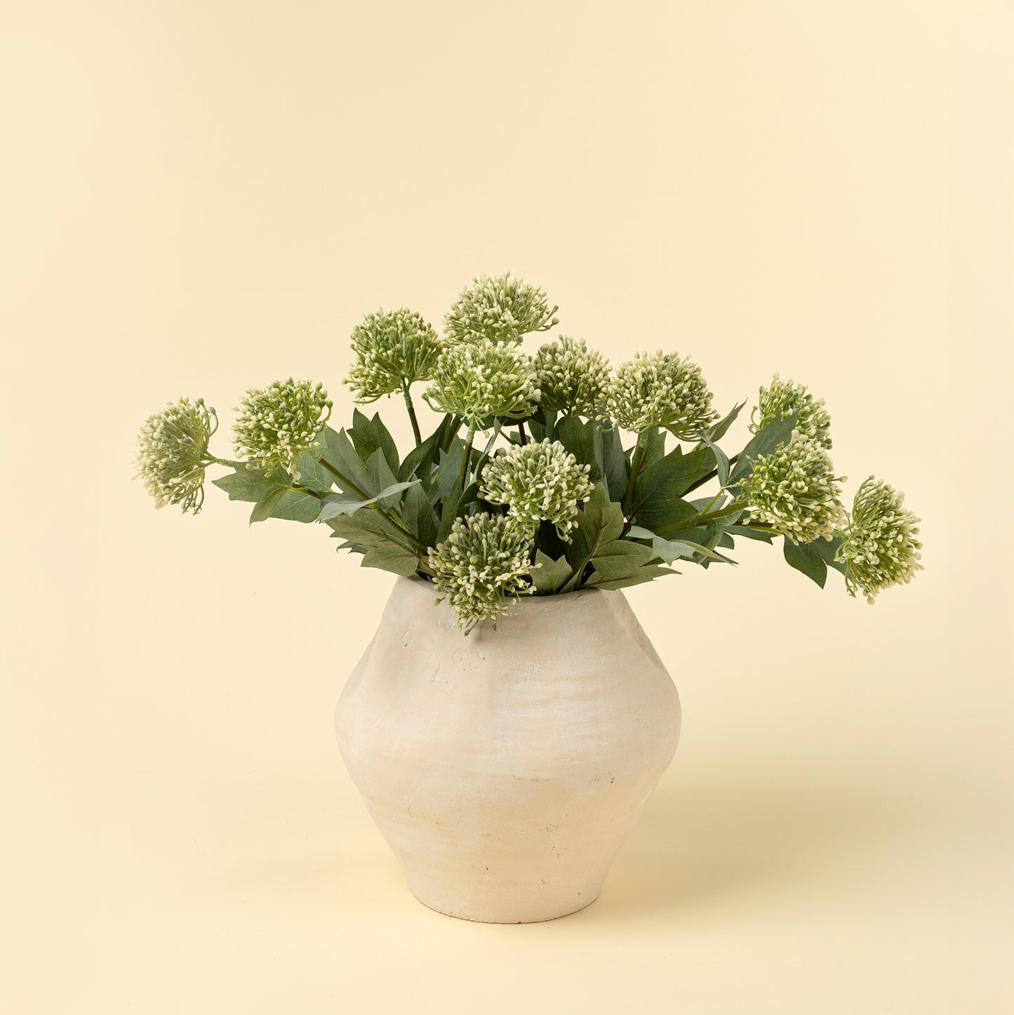 Sedum Spray
