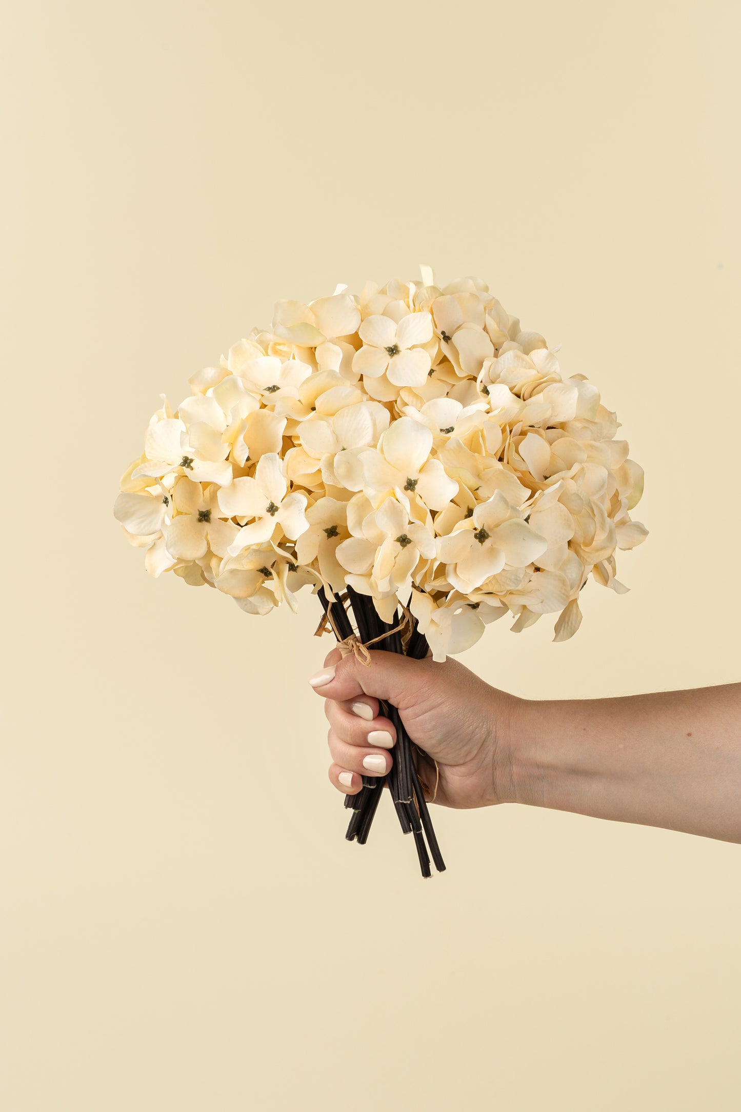 Hydrangea Bouquet