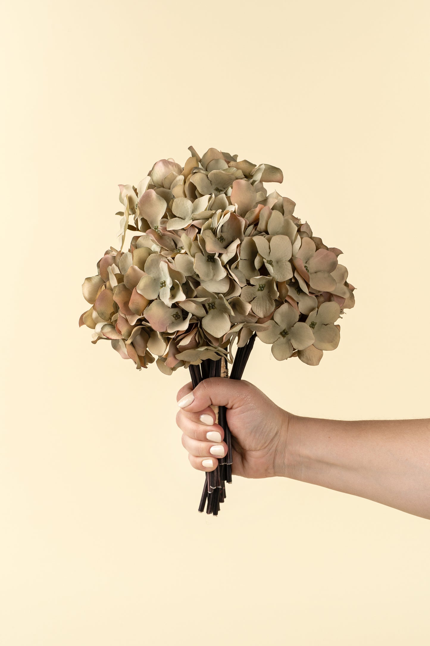 Hydrangea Bouquet