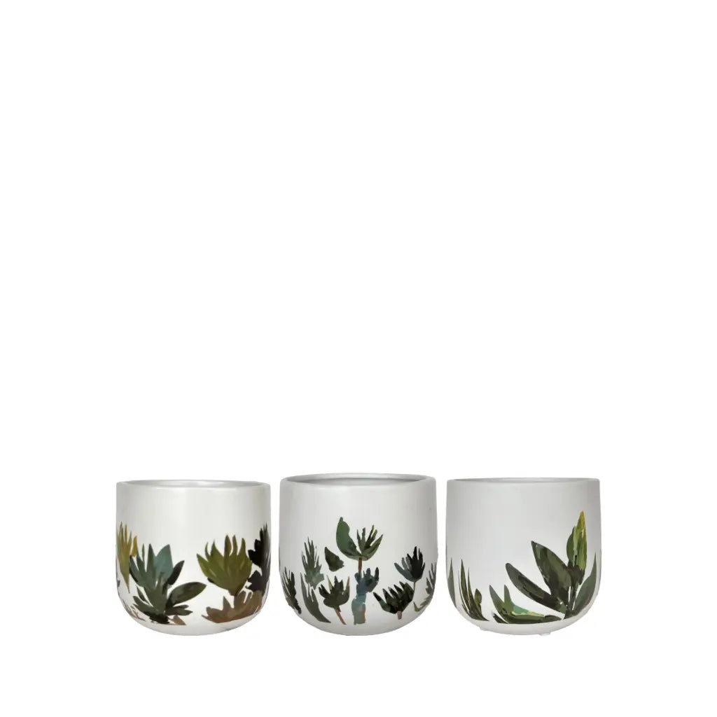 Mojave Pot