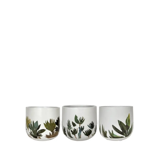 Mojave Pot