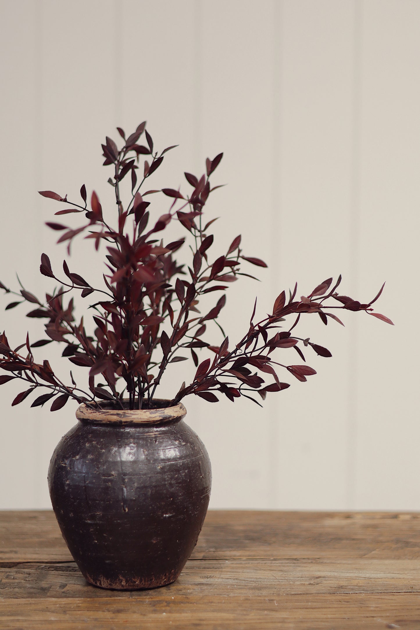 Willow Leaf Spray