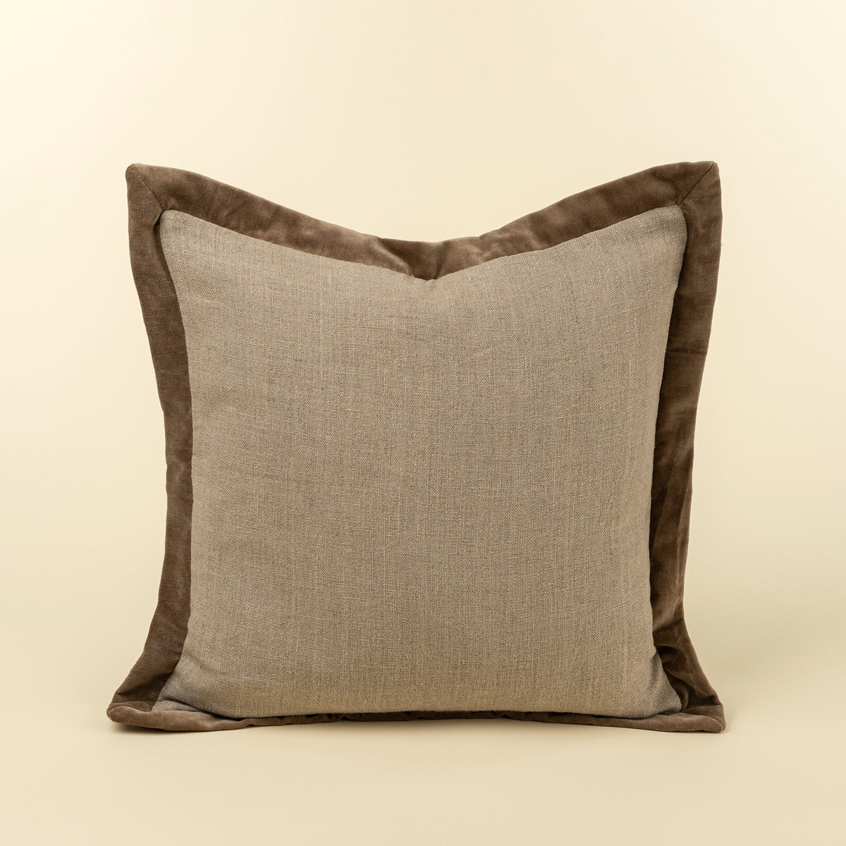 Velvet Edge Pillow