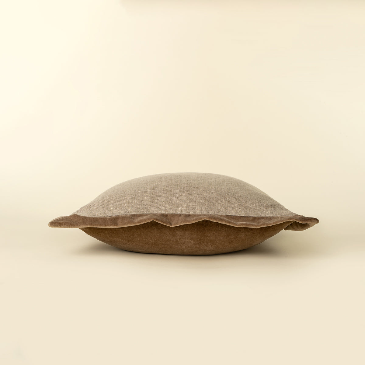 Velvet Edge Pillow