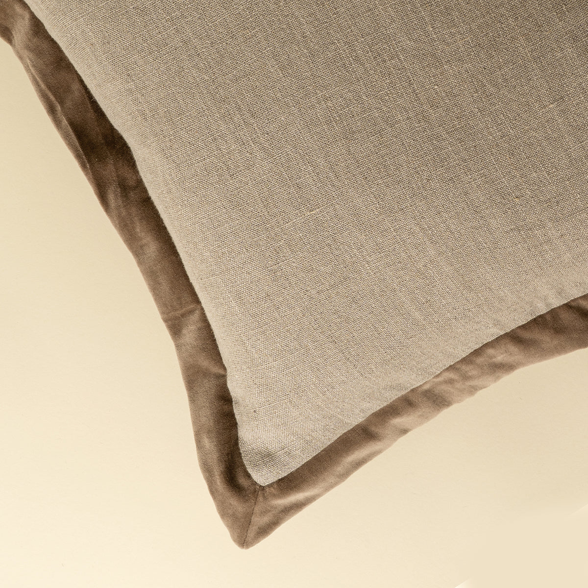 Velvet Edge Pillow