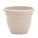 ariana-vanilla-bean-pot-10