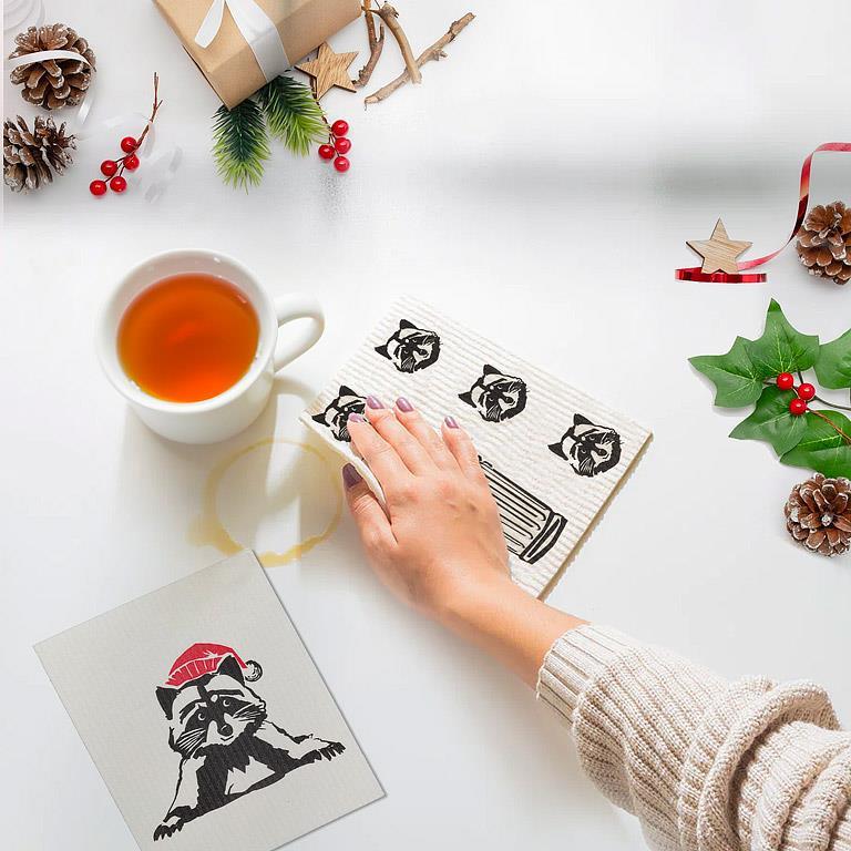 Raccoon Santa Dishcloth