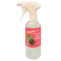 Air Plant Mist