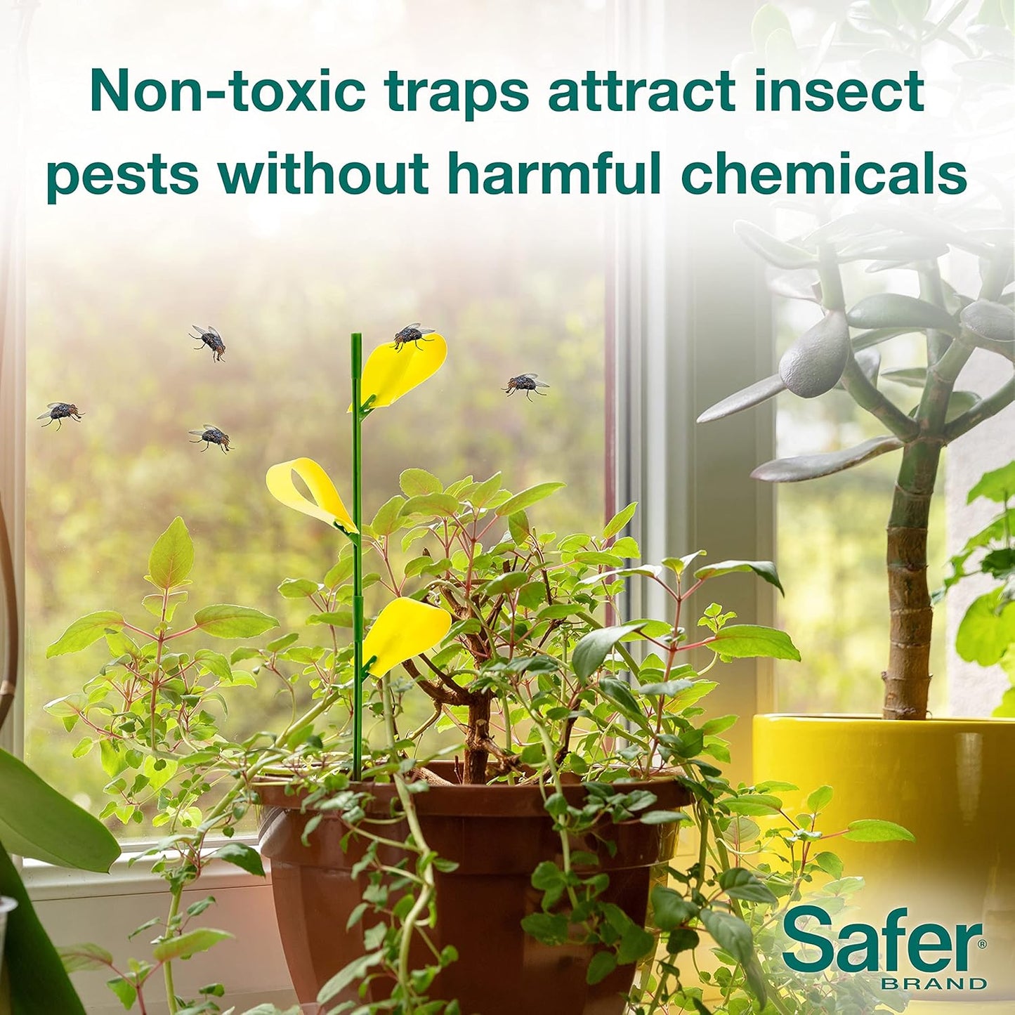 Safer's Sticky Strips 5/pkg