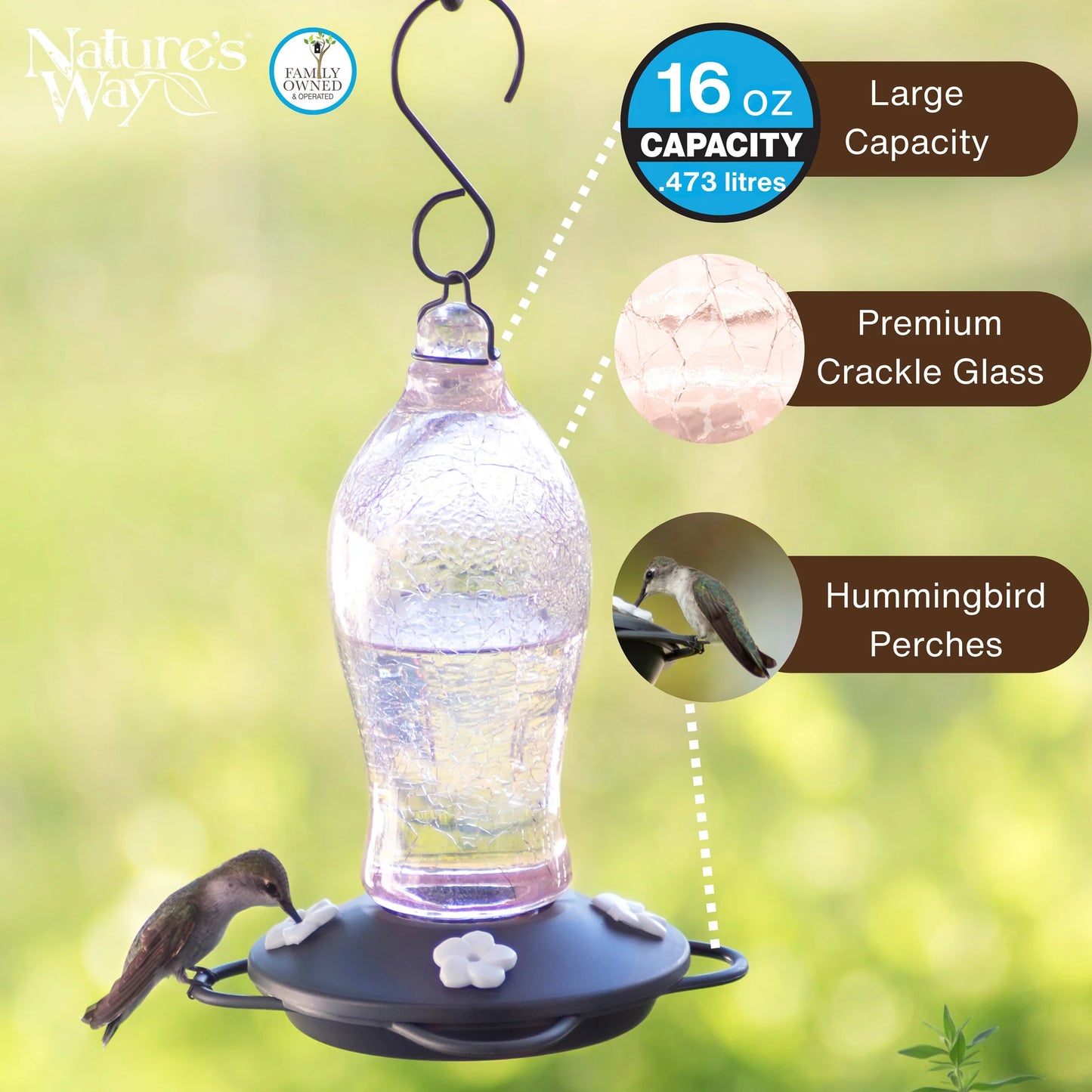 Pink Glass Hummingbird Feeder