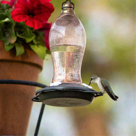 Pink Glass Hummingbird Feeder