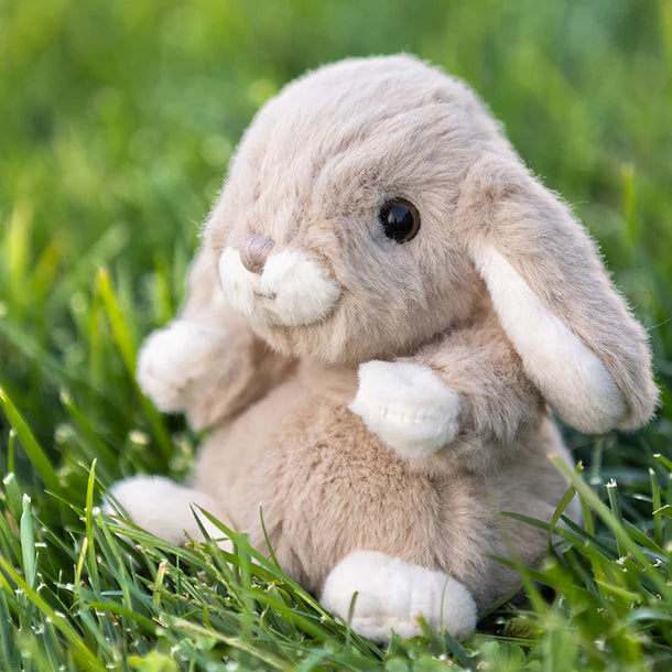 Kanini Bunny