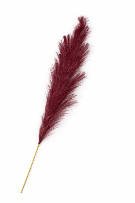 Bergundy Pampas Spray