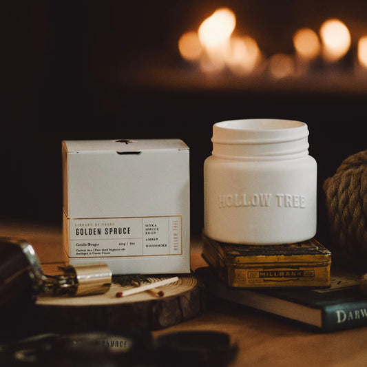 Golden Spruce Candle - 9oz