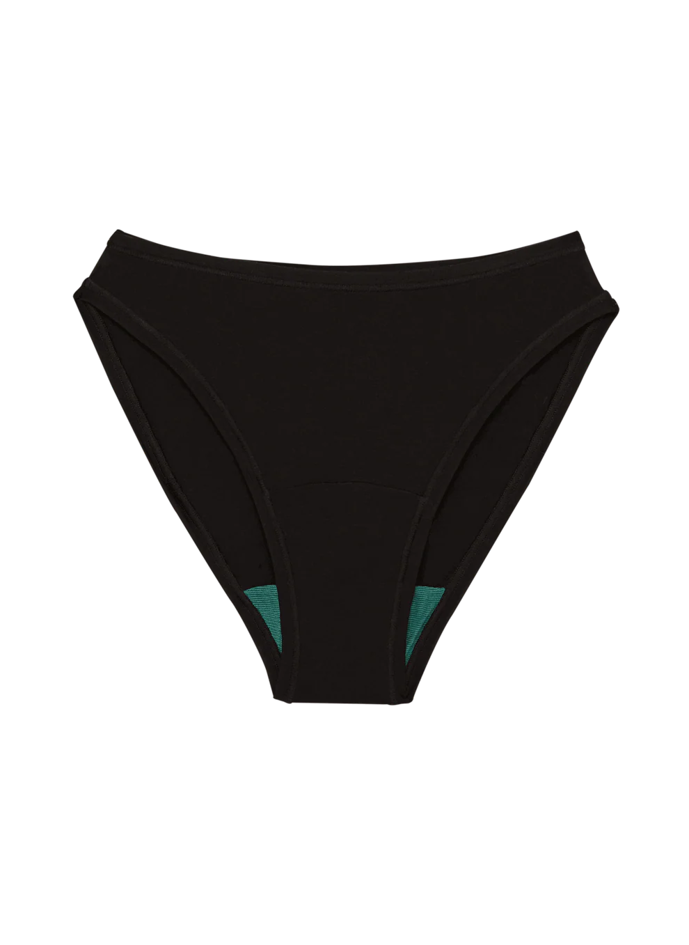 High Rise Bikini