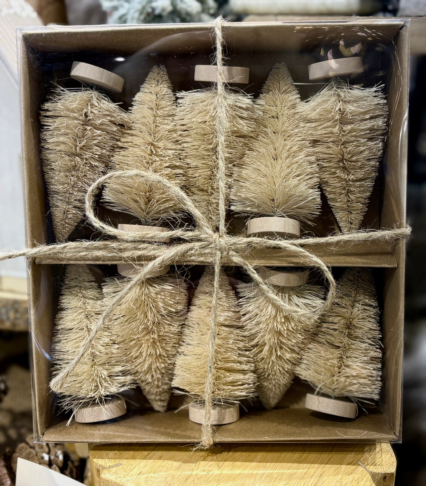 Bottlebrush Trees - S/10