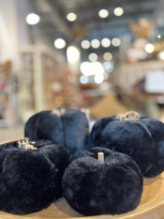 Black Plush Pumpkin