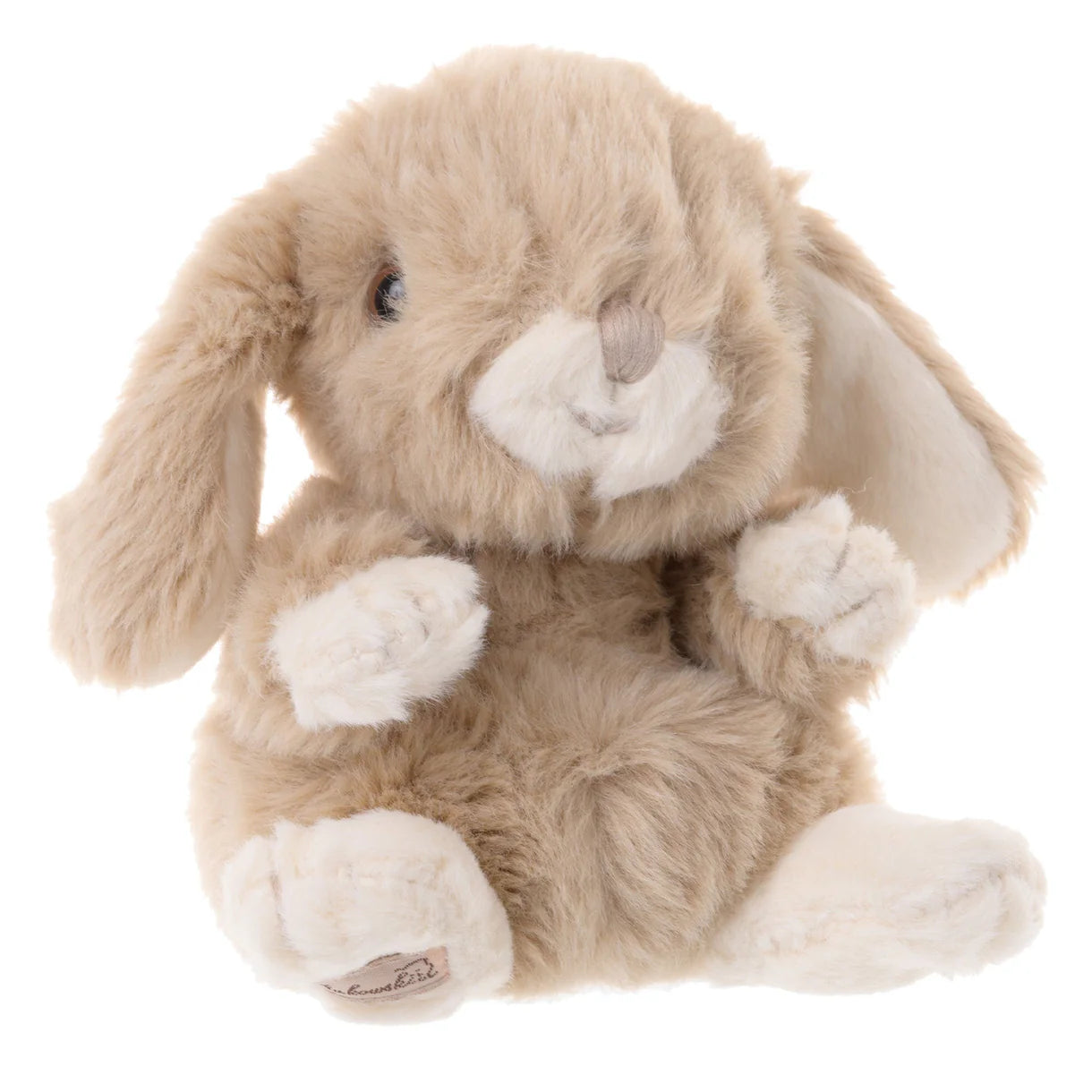 Kanini Bunny