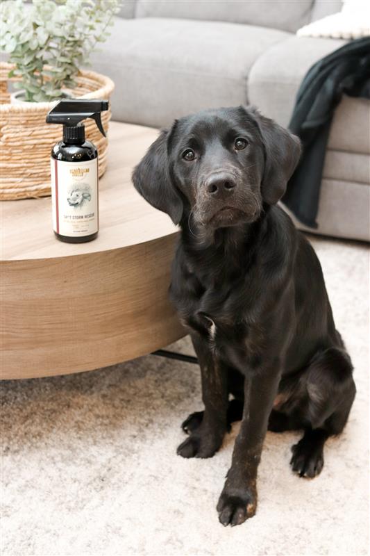 Sh*T Storm Pet Spray