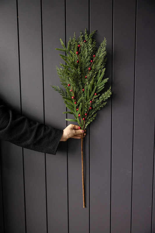 Red Berry Norfolk Pick